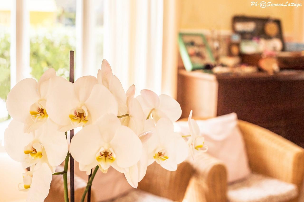 Hotel Ninfea 체르비아 외부 사진
